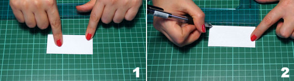 Scheda 1 _ Etichetta Segnaposto raso