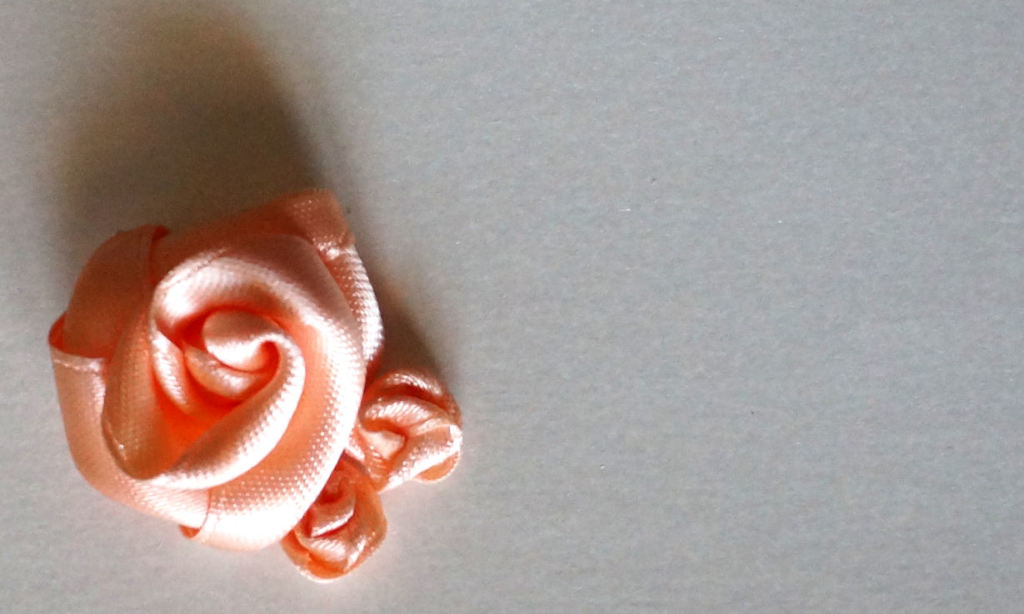 rosa pesca 2