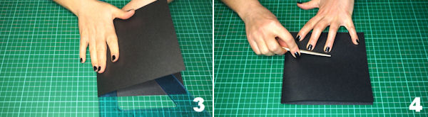 Scheda 2 - Partecipazione 50 sfumature