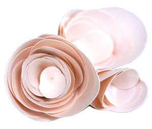rose-di-carta-scontornato